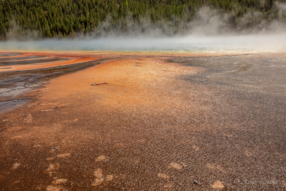 Yellowstonen kansallispuisto