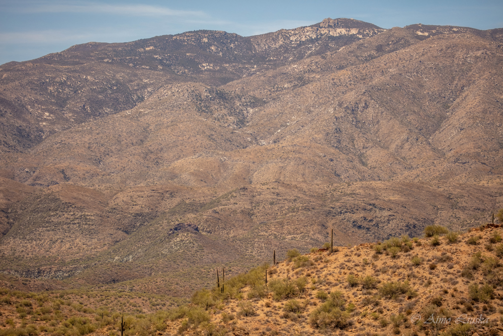 Arizona