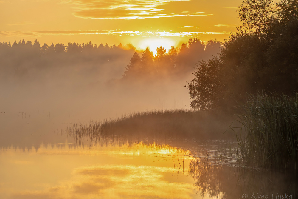 Jalasjärven Hirvijärvi