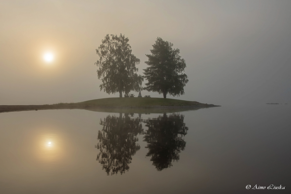 Usvainen aamu ulapalla
