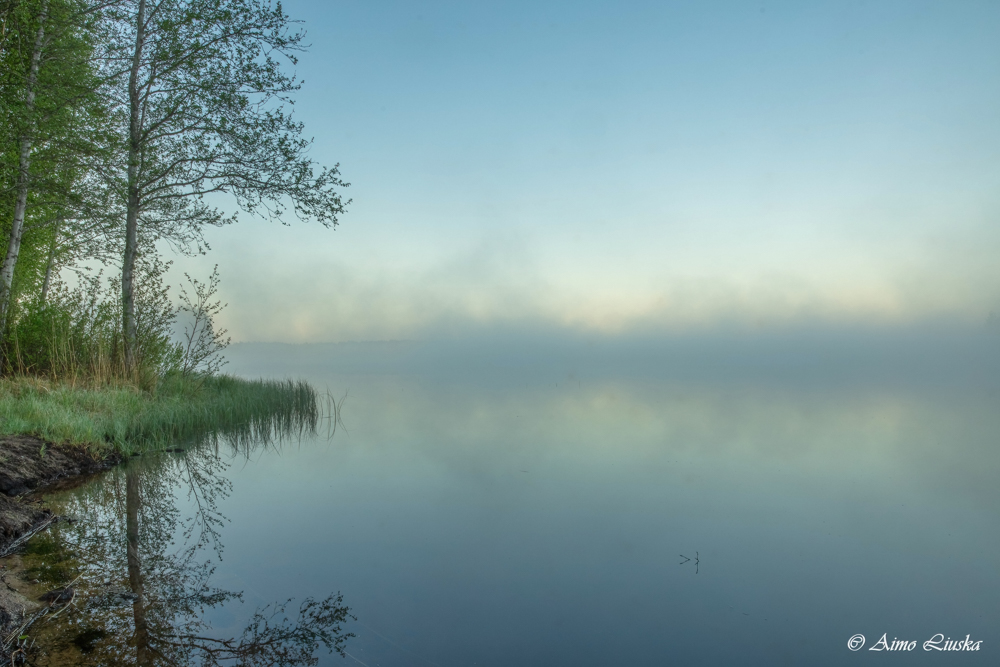 Peilityyni Kalajärvi