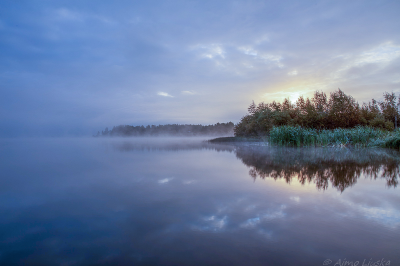 Kylmä valkotasapaino
