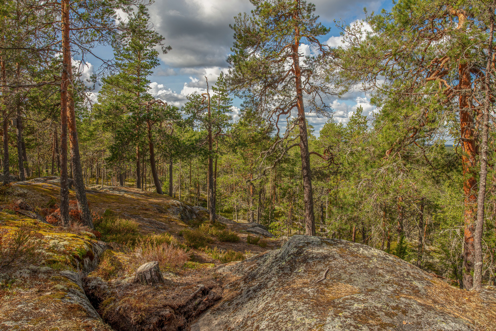 Käskyvuori