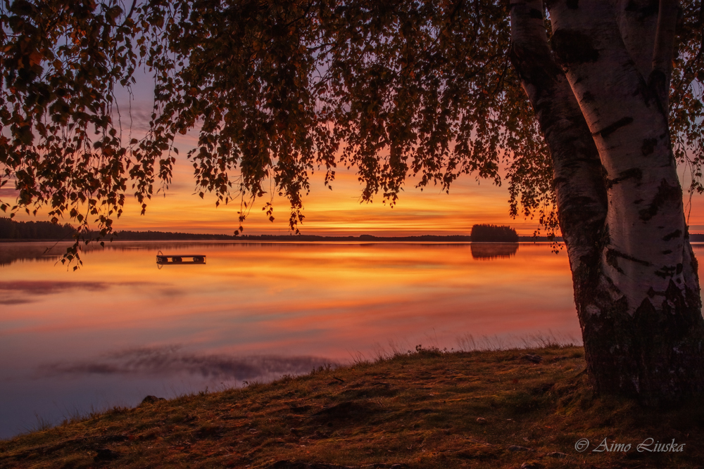Kalajärvi