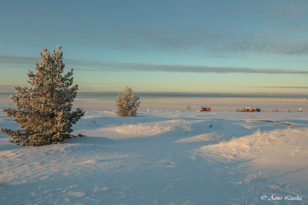 Kalajoki