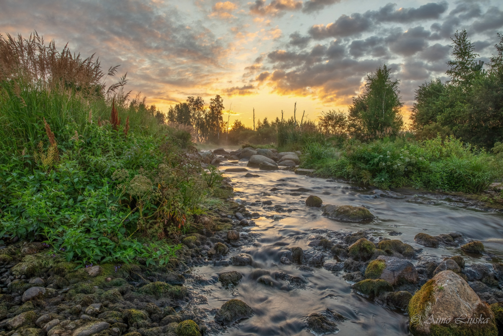 Jalasjoki
