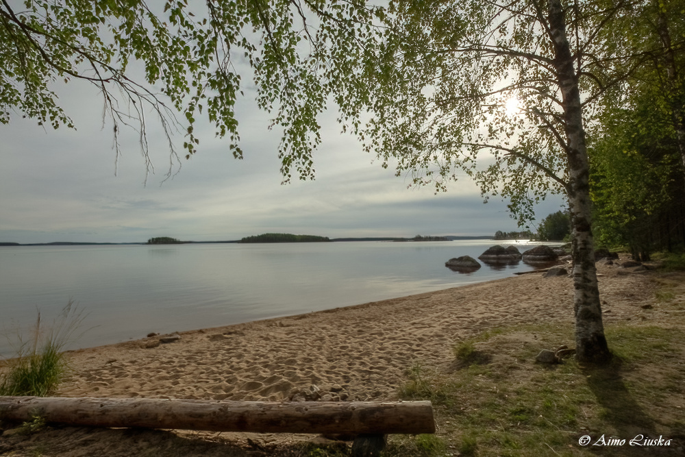 Pielinen