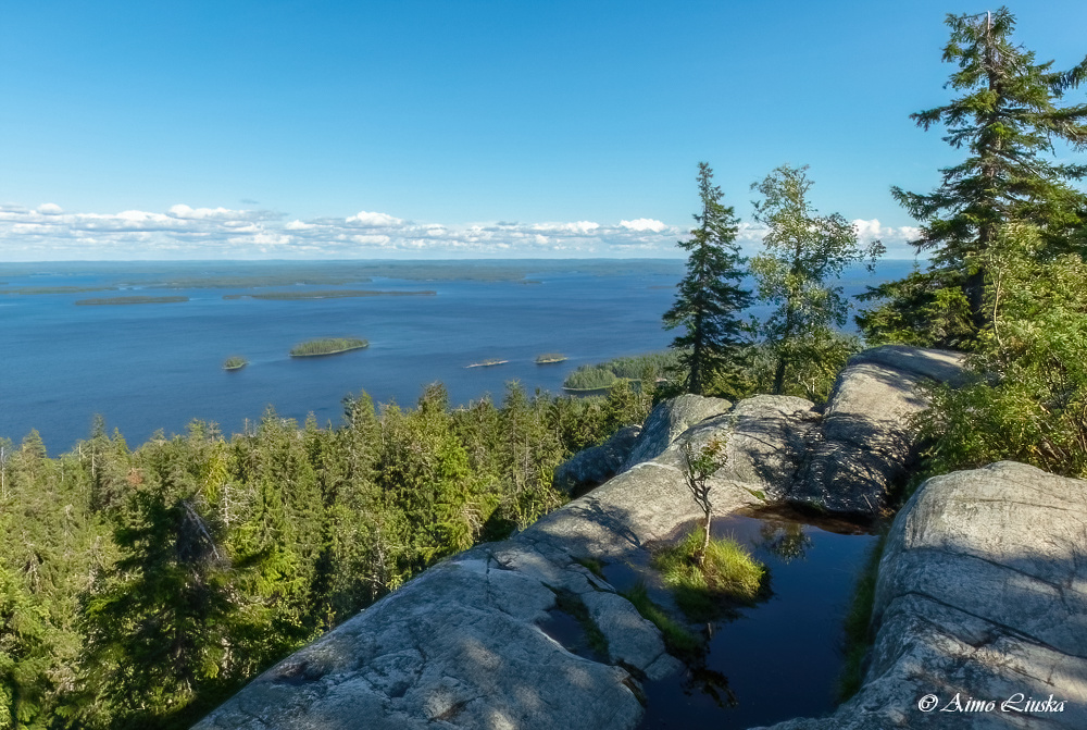 Koli