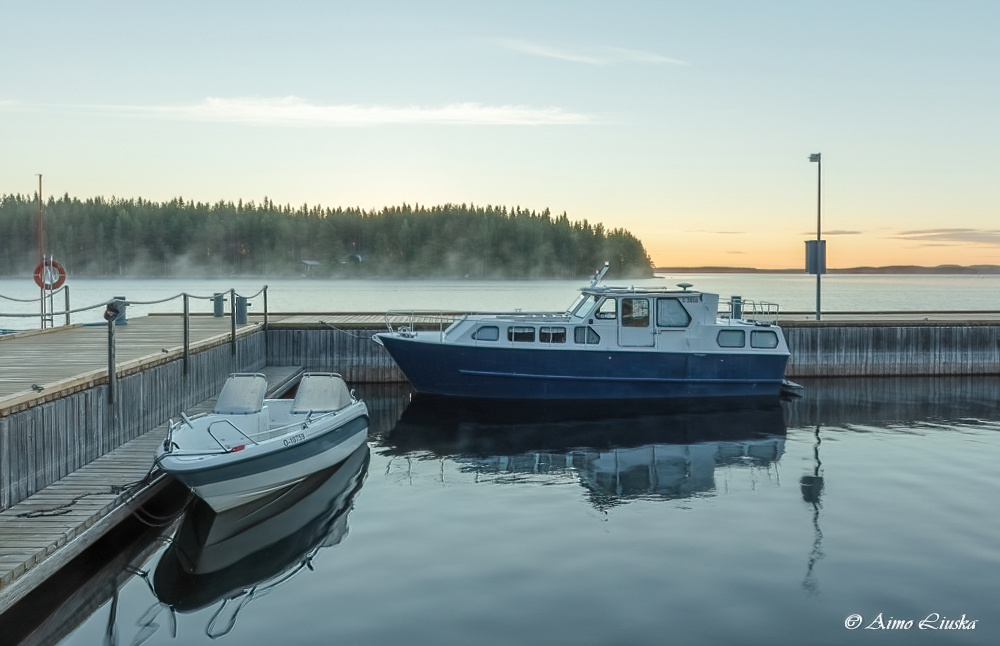 Koli