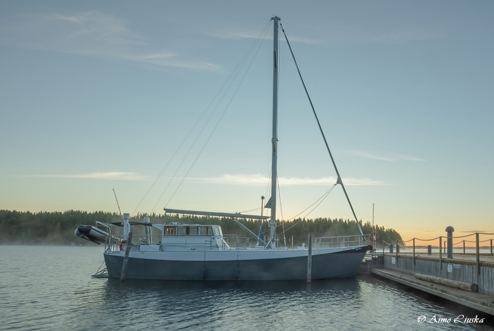 Koli