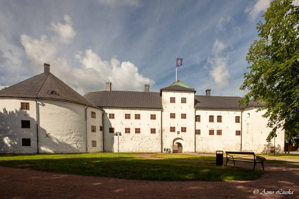 Turun linna