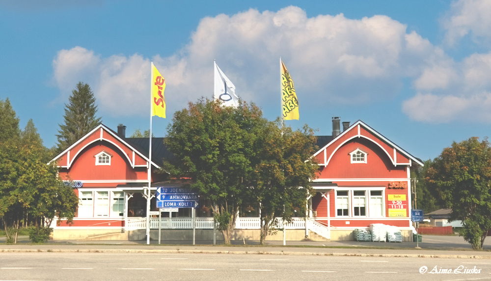Sale Koli